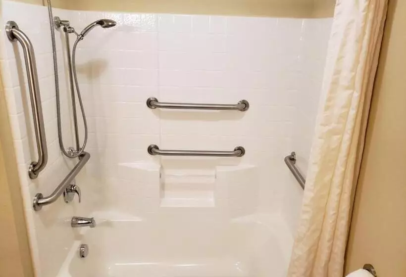 身障者適用スタンダードルーム, Cobblestone Inn & Suites   Holyoke