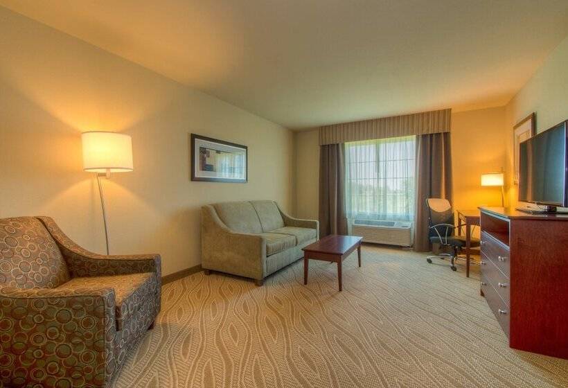 Люкс Адаптированный для Инвалидов, Cobblestone Inn & Suites   Holyoke