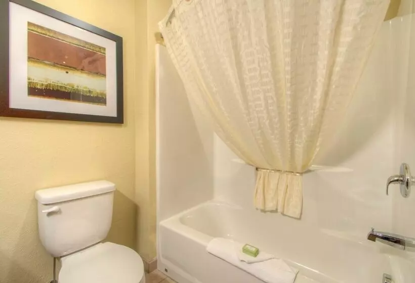 スタンダードスタジオ, Cobblestone Inn & Suites   Holyoke