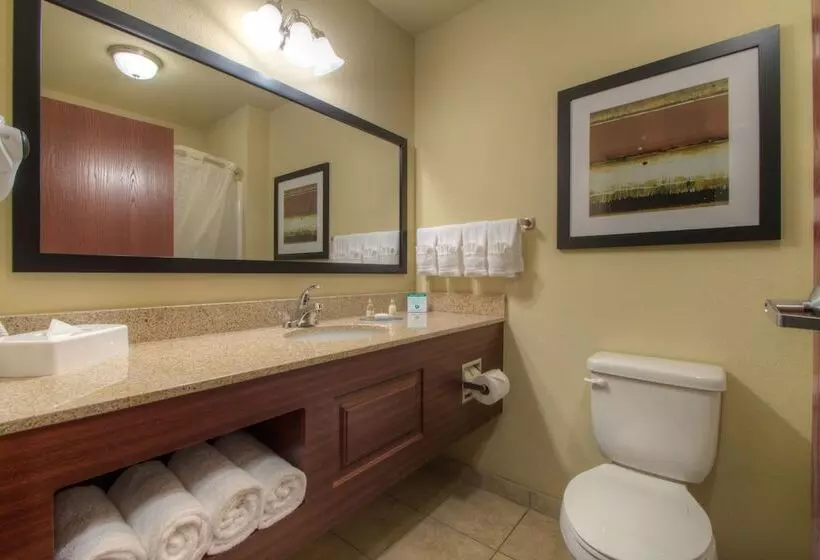 スタンダードスタジオ, Cobblestone Inn & Suites   Holyoke