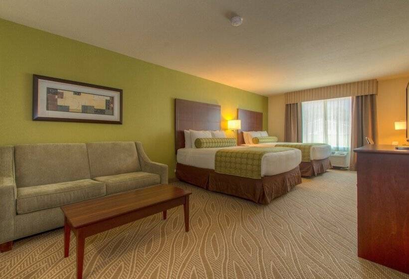 Студия Стандарт, Cobblestone Inn & Suites   Holyoke