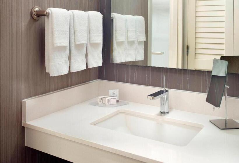 سوئیت با تخت بزرگ, Courtyard By Marriott Raleigh Cary