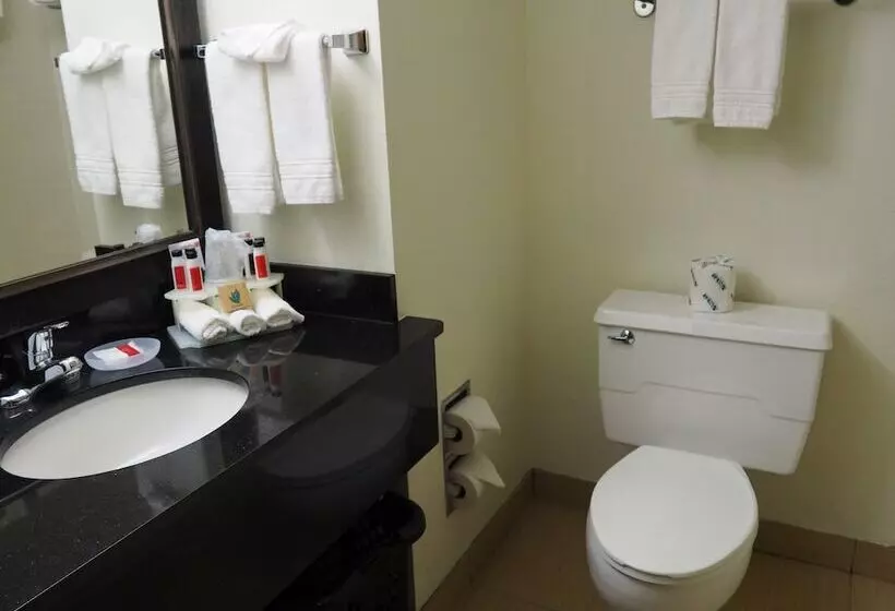 デラックスルーム, Days Inn By Wyndham Petoskey