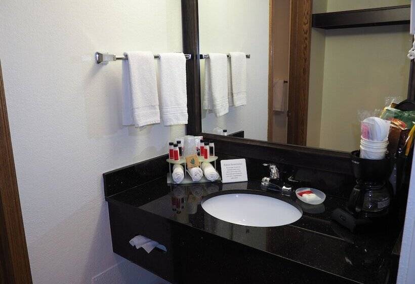 Номер Deluxe, Days Inn By Wyndham Petoskey