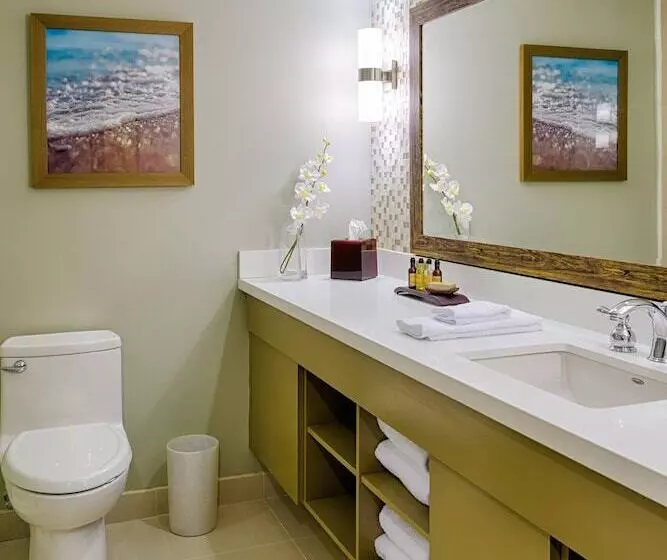 Standard-huone Parivuode Merinäkymä, Fort Lauderdale Marriott Pompano Beach Resort And Spa