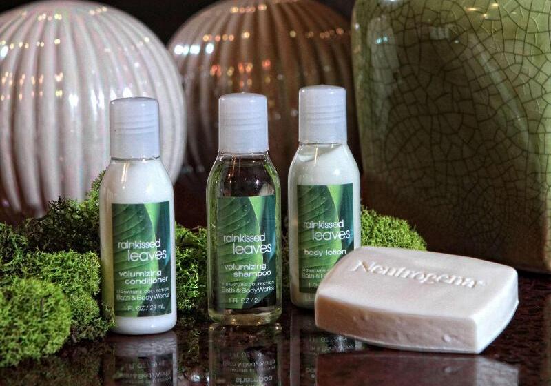 带大床的套房, Hilton Garden Inn Victoria