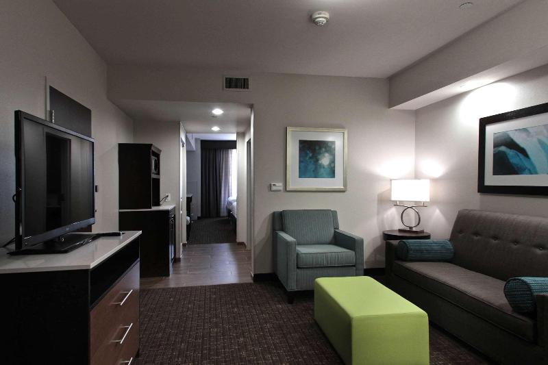 带大床的小型套房, Hilton Garden Inn Victoria