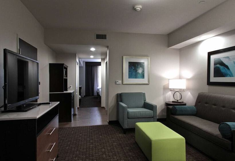 小型套房, Hilton Garden Inn Victoria