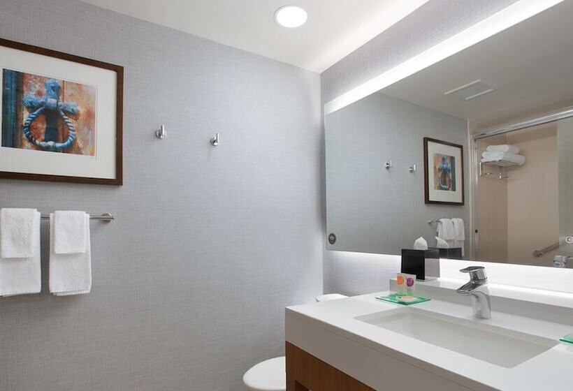 Quarto Standard Cama Queen, Hyatt Place Chicago South/university Medical Center