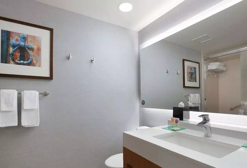 クイーンサイズベッドのスタンダードルーム, Hyatt Place Chicago South/university Medical Center