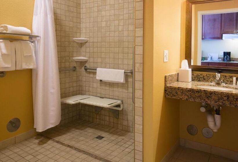 Студио Стандарт Кровать Кинг, Towneplace Suites Pocatello