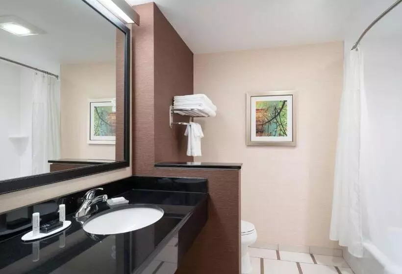 اتاق استاندارد, Fairfield Inn & Suites By Marriott Dubois