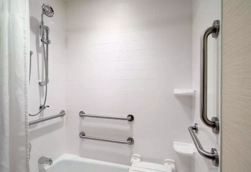استودیو استاندارد با تخت کینگ, Fairfield Inn & Suites By Marriott Dubois