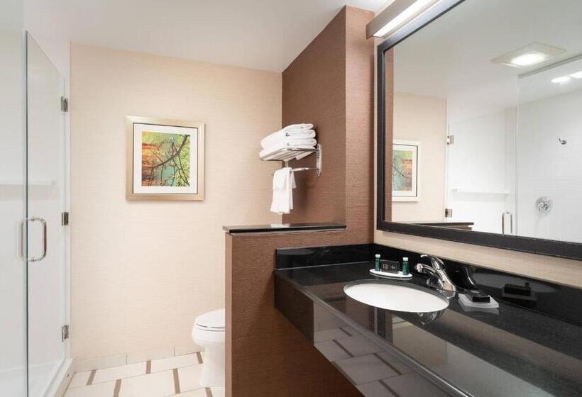 Студио Стандарт Кровать Кинг, Fairfield Inn & Suites By Marriott Dubois