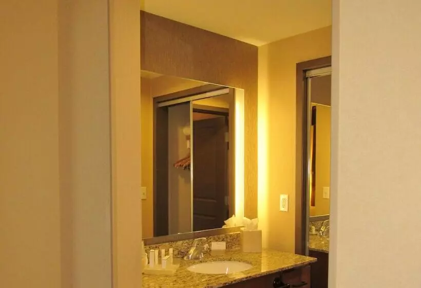 スイート, Homewood Suites By Hilton Durango, Co