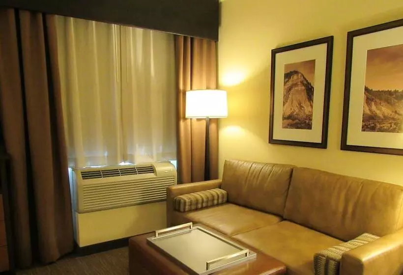 スイート, Homewood Suites By Hilton Durango, Co