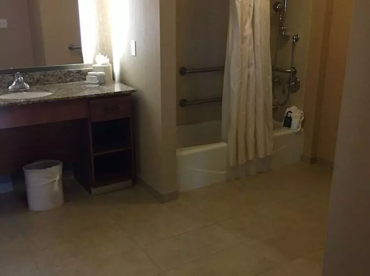 身障者適用スイートルーム, Homewood Suites By Hilton Durango, Co