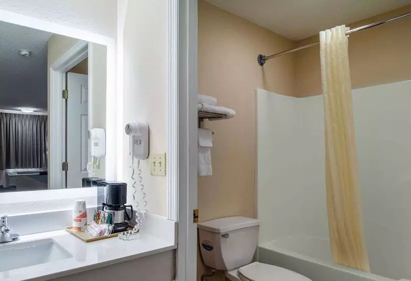 キングサイズベッドのスイートルーム, Econo Lodge Inn & Suites Cayce I 26 Airport