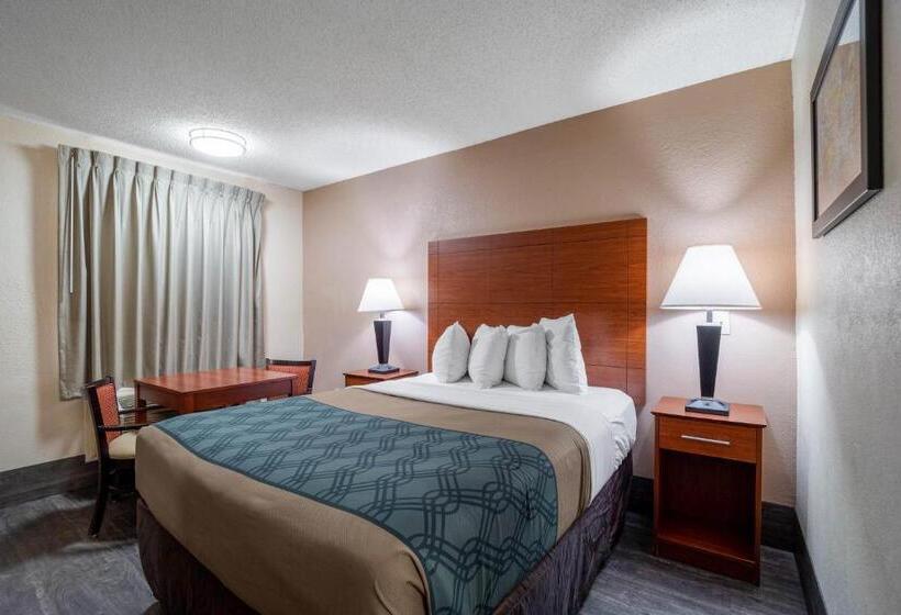 スタンダードルーム, Econo Lodge Inn & Suites Cayce I 26 Airport