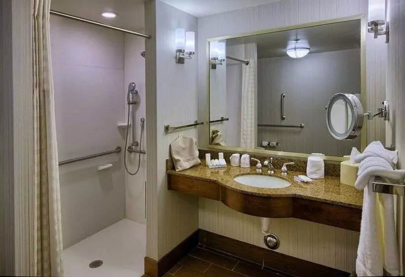 身障者適用スタンダードルーム, Hilton Garden Inn Durham/university Medical Center