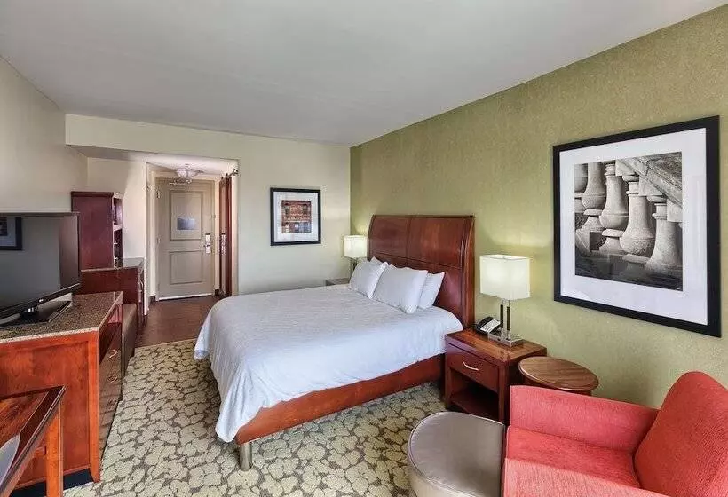 身障者適用スタンダードルーム, Hilton Garden Inn Durham/university Medical Center