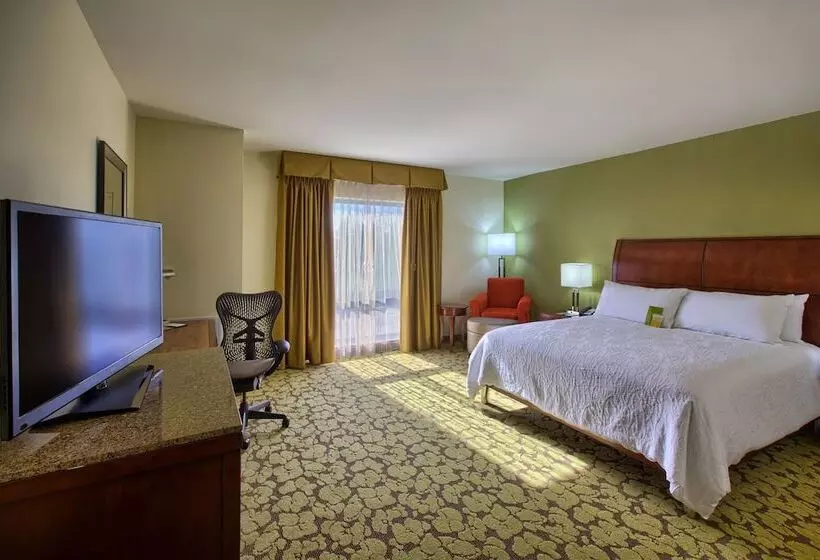 身障者適用スタンダードルーム, Hilton Garden Inn Durham/university Medical Center