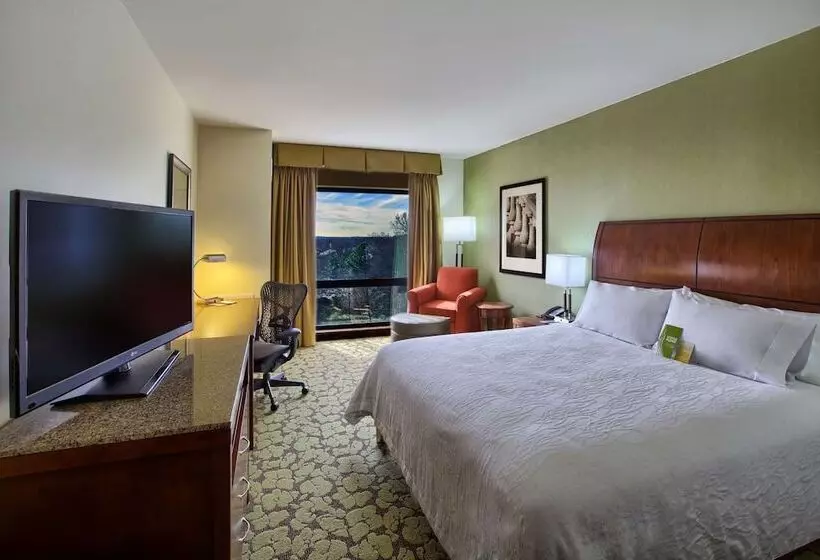 身障者適用スタンダードルーム, Hilton Garden Inn Durham/university Medical Center