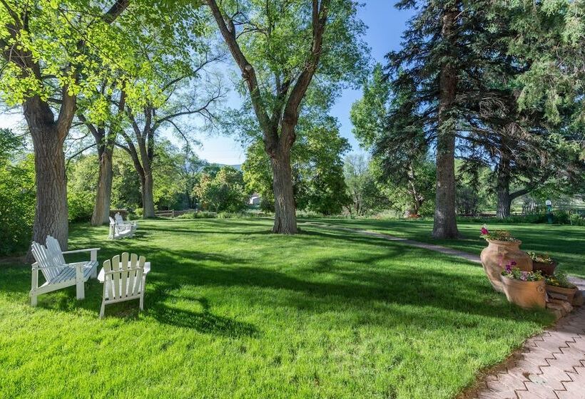 标准间带双人床, Inn On La Loma Plaza