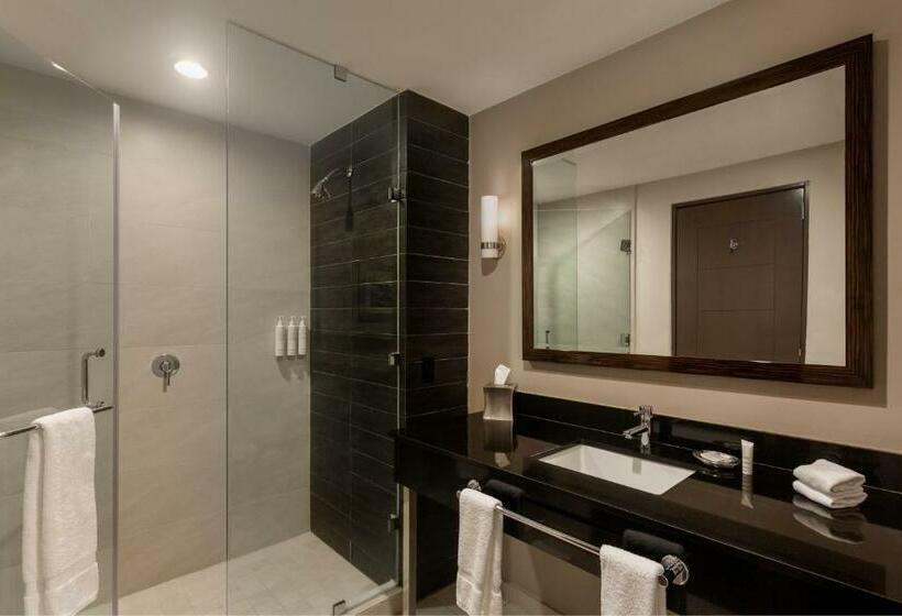 Номер Стандарт 2 Двуспальные Кровати, Marriott Panama Hotel   Albrook