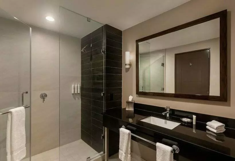 ２ダブルベッドのスタンダードルーム, Marriott Panama Hotel   Albrook