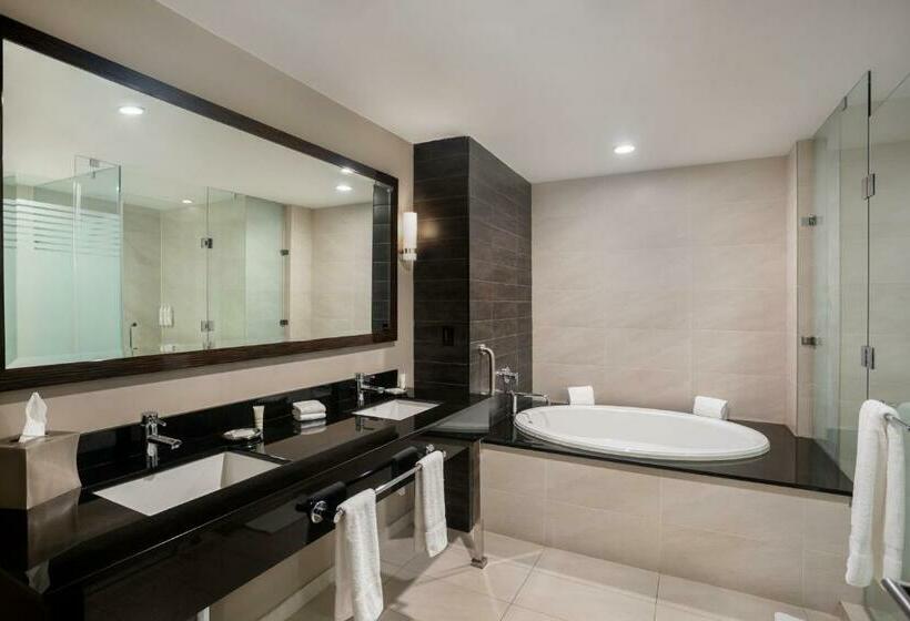 Люкс Вид на Город, Marriott Panama Hotel   Albrook