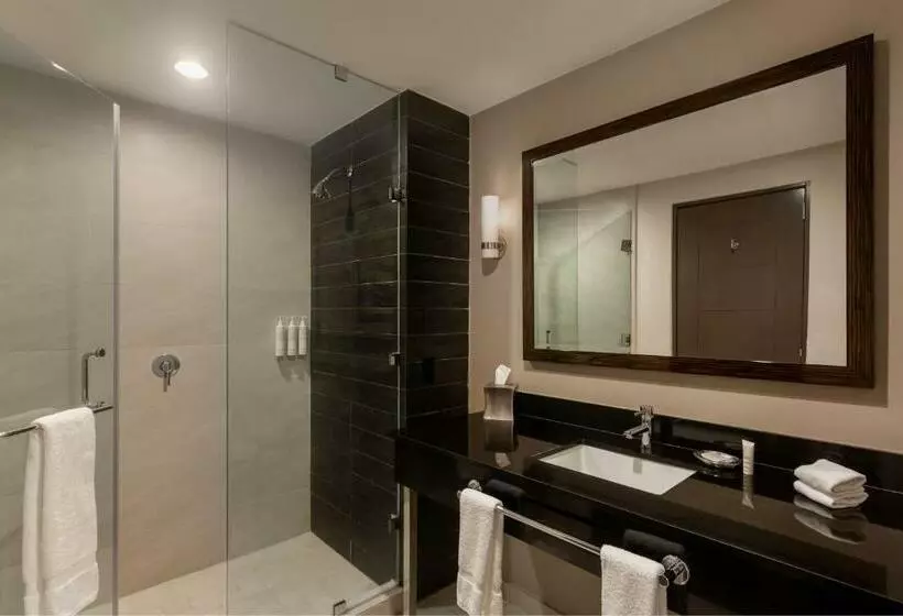 キングサイズベッドのスタンダードルーム, Marriott Panama Hotel   Albrook