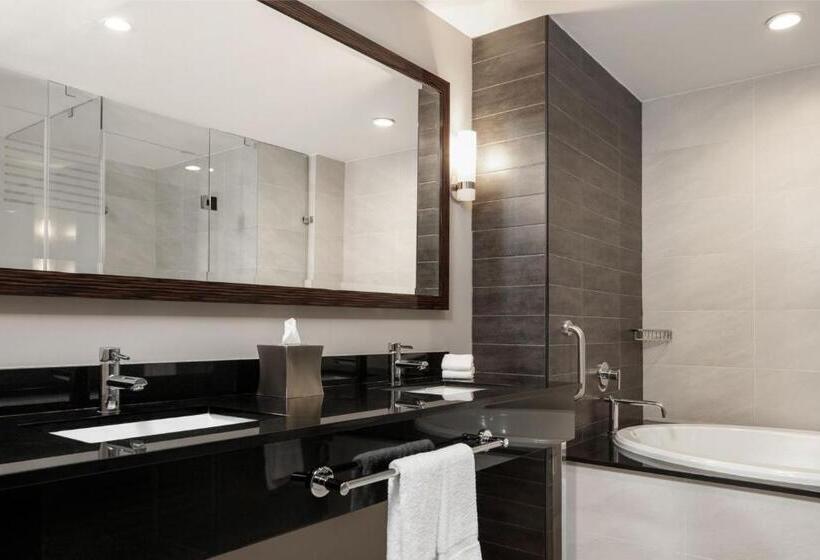 Люкс Вид на Город, Marriott Panama Hotel   Albrook