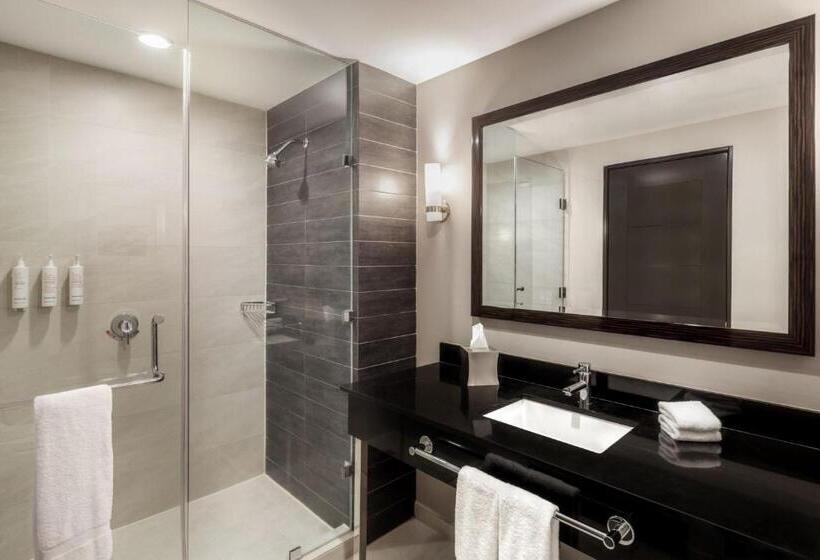 חדר סטנדרט עם מיטת קינג, Marriott Panama Hotel Albrook