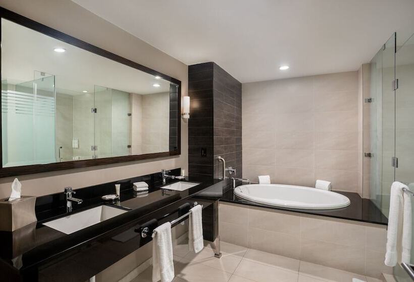 Люкс Вид на Город, Marriott Panama Hotel   Albrook
