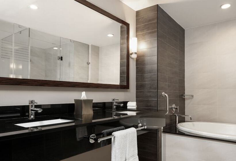 סוויטה עם נוף לעיר, Marriott Panama Hotel Albrook