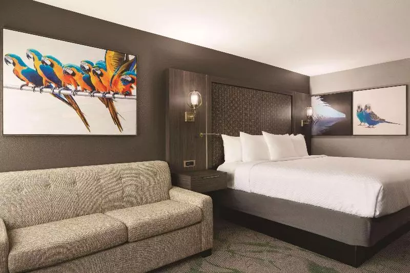 اتاق استاندارد با تخت بزرگ, Radisson Hotel Mcallen Airport