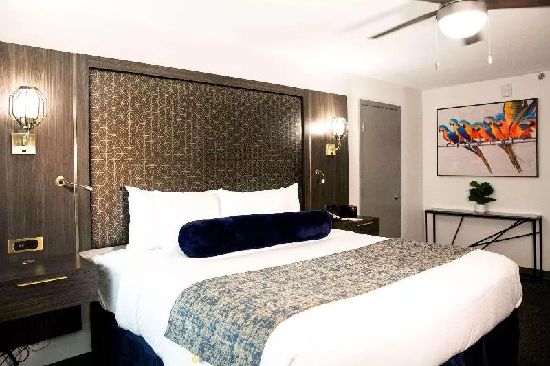 اتاق استاندارد با تخت بزرگ, Radisson Hotel Mcallen Airport