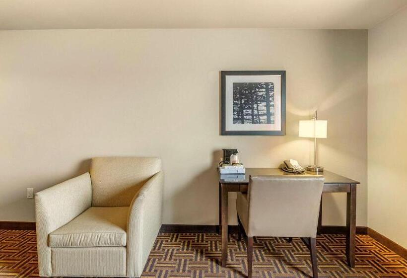 غرفة قياسية سرير كينج, Sonesta Essential Minot