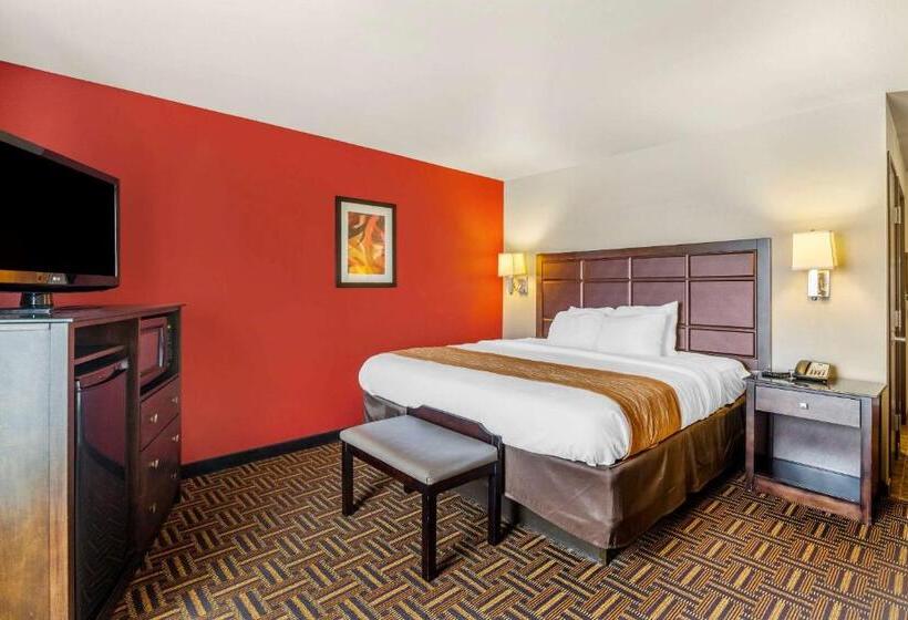 带大床的标准间, Sonesta Essential Minot