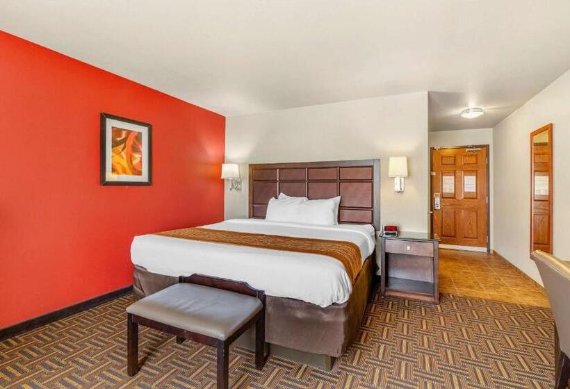 带大床的标准间, Sonesta Essential Minot