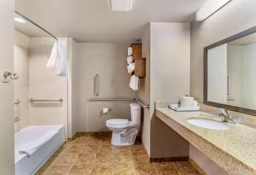 身障者適用スタンダードルーム, Sonesta Essential Minot