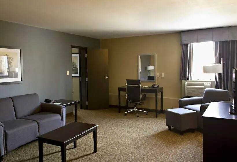 エクゼクティブスイート, Wyndham Garden Texarkana
