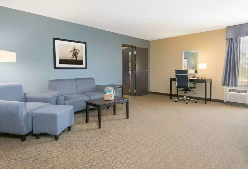 エクゼクティブスイート, Wyndham Garden Texarkana