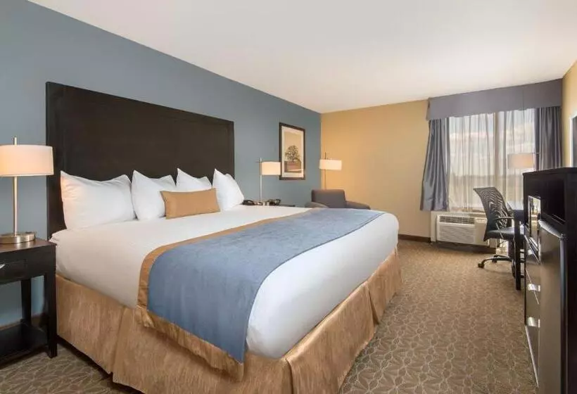 身障者適用キングサイズベッドルーム, Wyndham Garden Texarkana