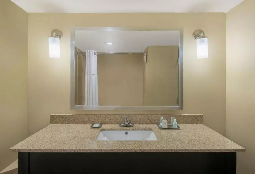 身障者適用キングサイズベッドルーム, Wyndham Garden Texarkana
