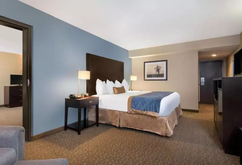 キングサイズベッドのスイートルーム, Wyndham Garden Texarkana