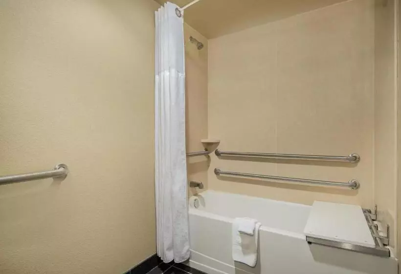 スタンダードルーム, Wyndham Garden Texarkana
