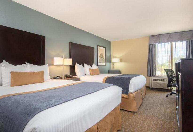 スタンダードルーム, Wyndham Garden Texarkana