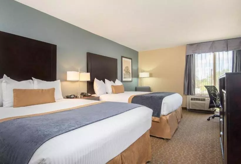 スタンダードルーム, Wyndham Garden Texarkana